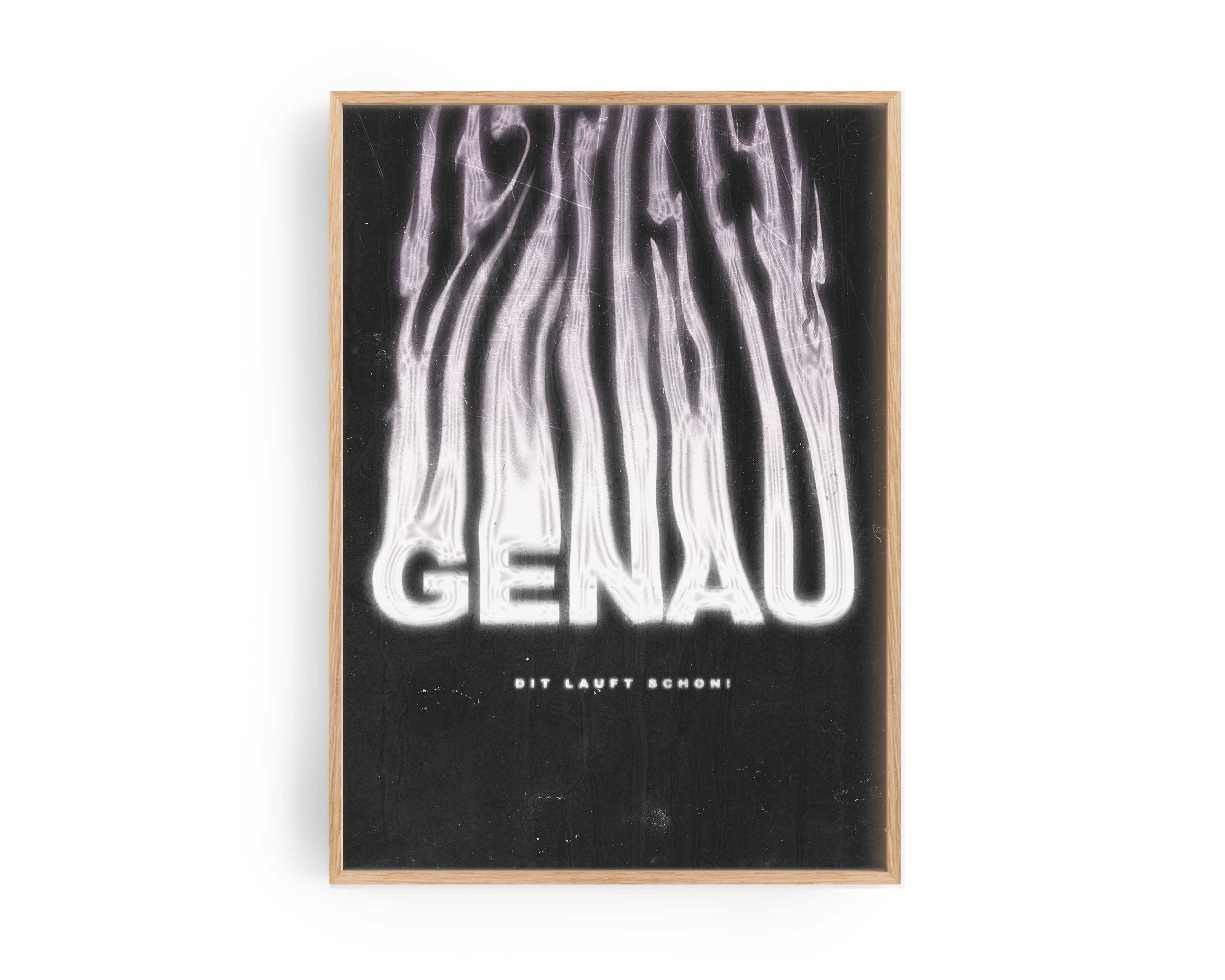 GENAU POSTER - Das klappt auchso