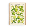 LIMETTEN POSTER