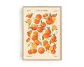 Orangen Poster – bold orange food art print for kitchen by Ohne Rotkohl Berlin
