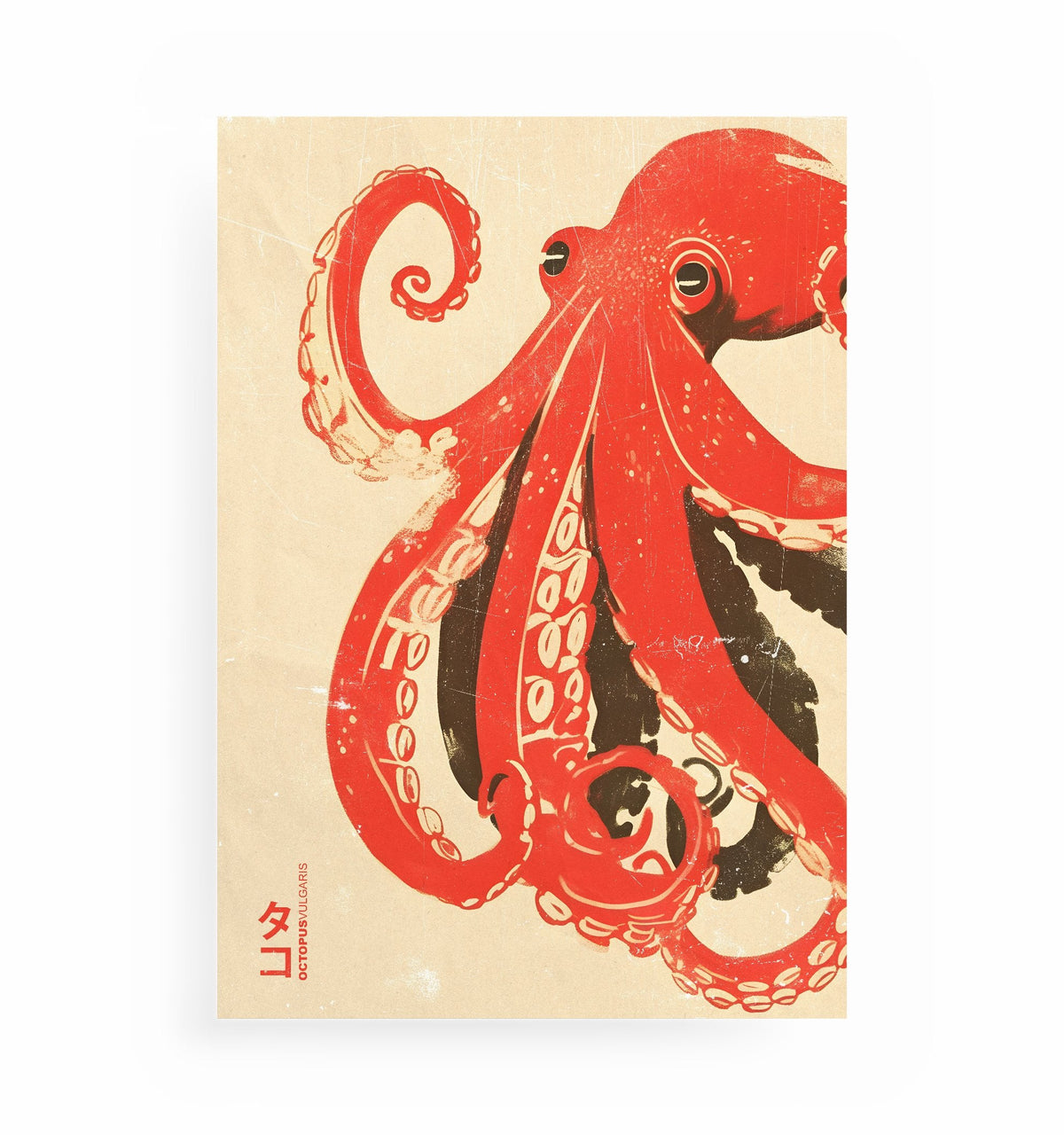 OKTOPUS-POSTER, Kunstdruck ohne Rahmen von Ohne Rotkohl